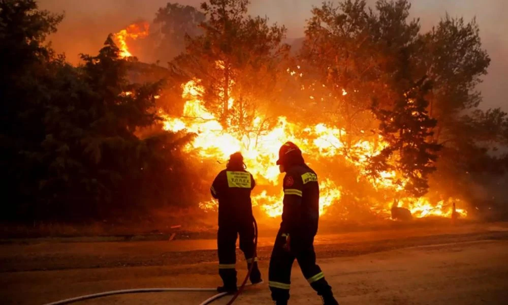 Φωτιά ξέσπασε στην Εύβοια – Δεν απειλείται κατοικημένη περιοχή